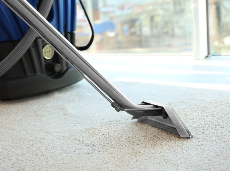 SEO services for Carpet Cleaners