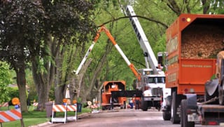 SEO Services for Tree Care Companies