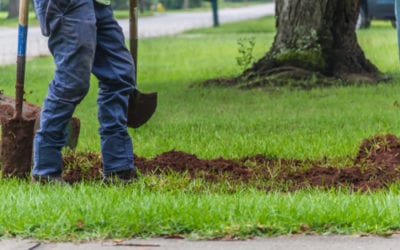 SEO Keywords for Landscapers