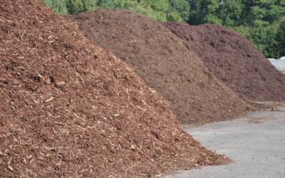 SEO Keywords for Mulch Supply