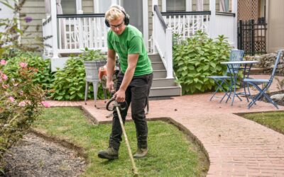 The Ultimate Guide to Web Design for Landscaping Companies