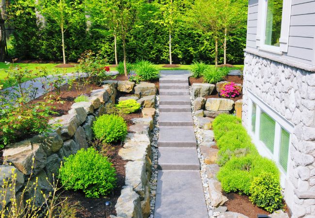 Image - Back yard landscaping design