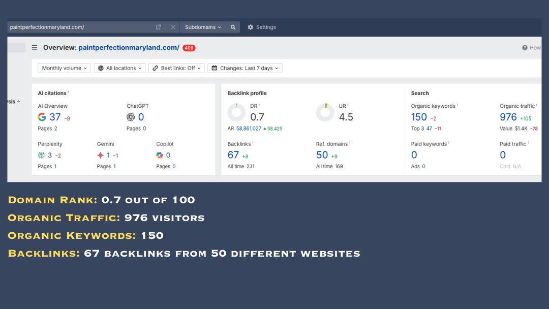Paint Perfection SEO Evaluation